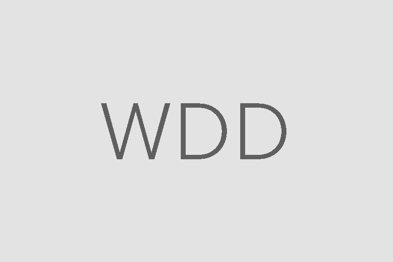 Wildes Doggy Daycare